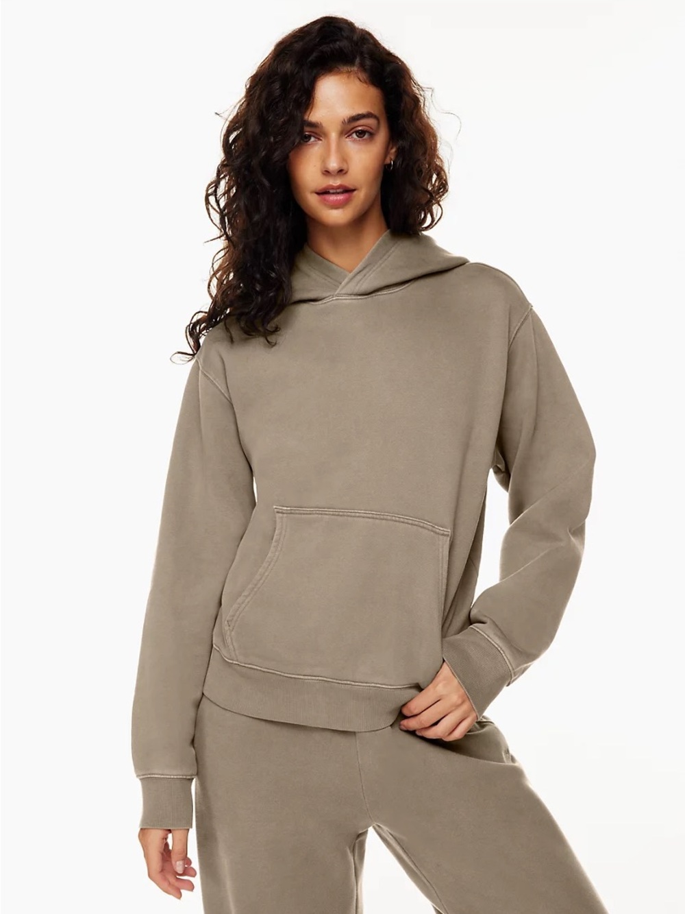 Aritzia tna boyfriend Taupe Hoodie